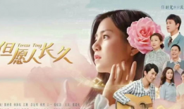 电视剧但愿人长久,穿越时空的浪漫传奇