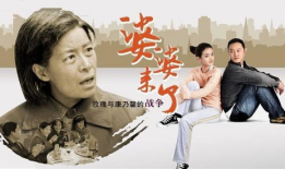 婆婆来了电视剧,婆媳关系新解，家庭和谐之道