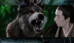 狼心电视剧,乱世英雄的悲歌与救赎